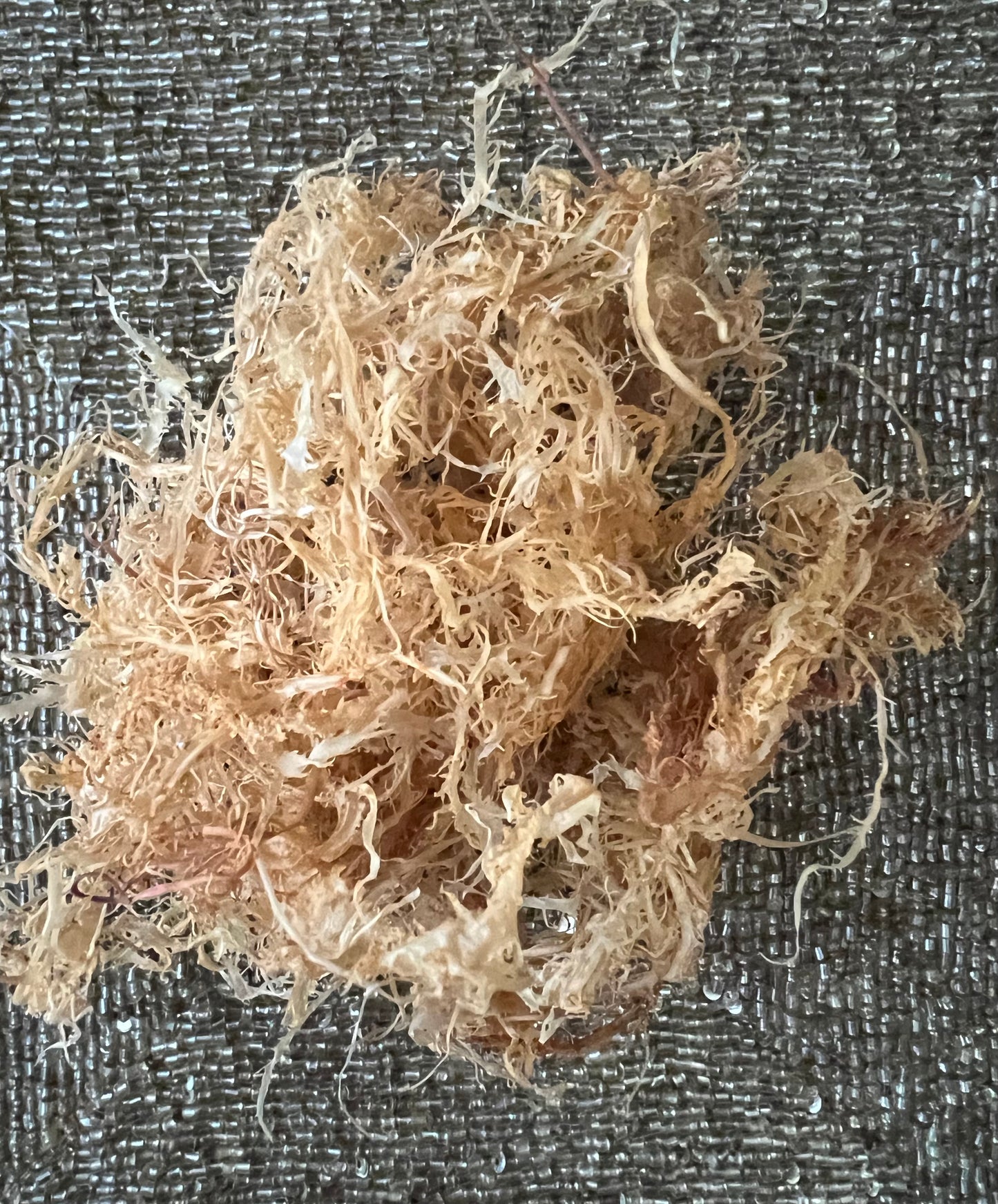 100% Raw Premium Quality Sea Moss