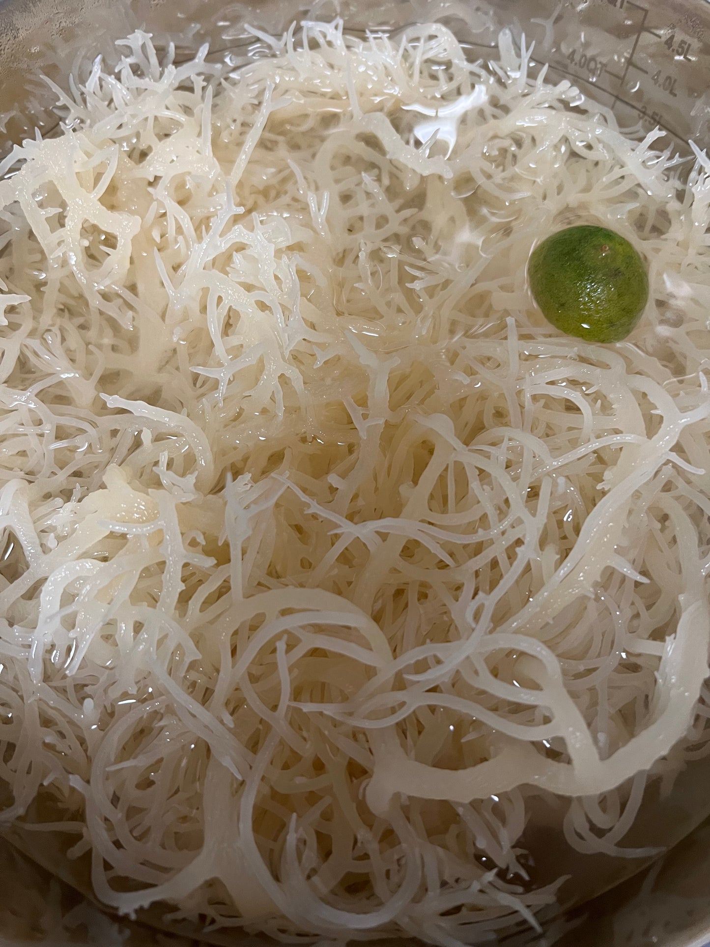 100% Raw Premium Quality Sea Moss